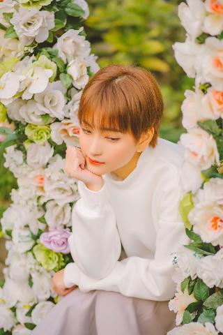 青楼十二房在线观看免费版电视剧全集