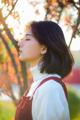 鲁鲁影院电视剧免费观看最新章节