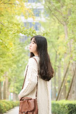 大明风华 电视剧