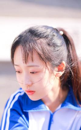 白月梵星电视剧在线观看全集免费播放