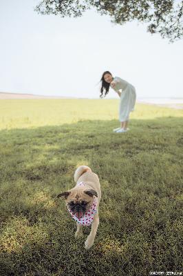 白鹿原电视剧免费全集在线观看