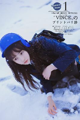 东北往事之黑道风云20年未删节电视剧